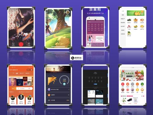 厦门小程序开发与泉州App开发 专业软件外包服务的核心价值