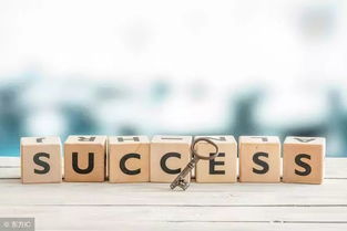 蓝盟IT外包浅谈 软件外包服务网络管理合作成功的两大核心法则