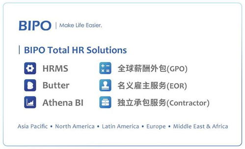 BIPO全球薪酬外包服务 薪酬系统与财务软件一体化集成解决方案